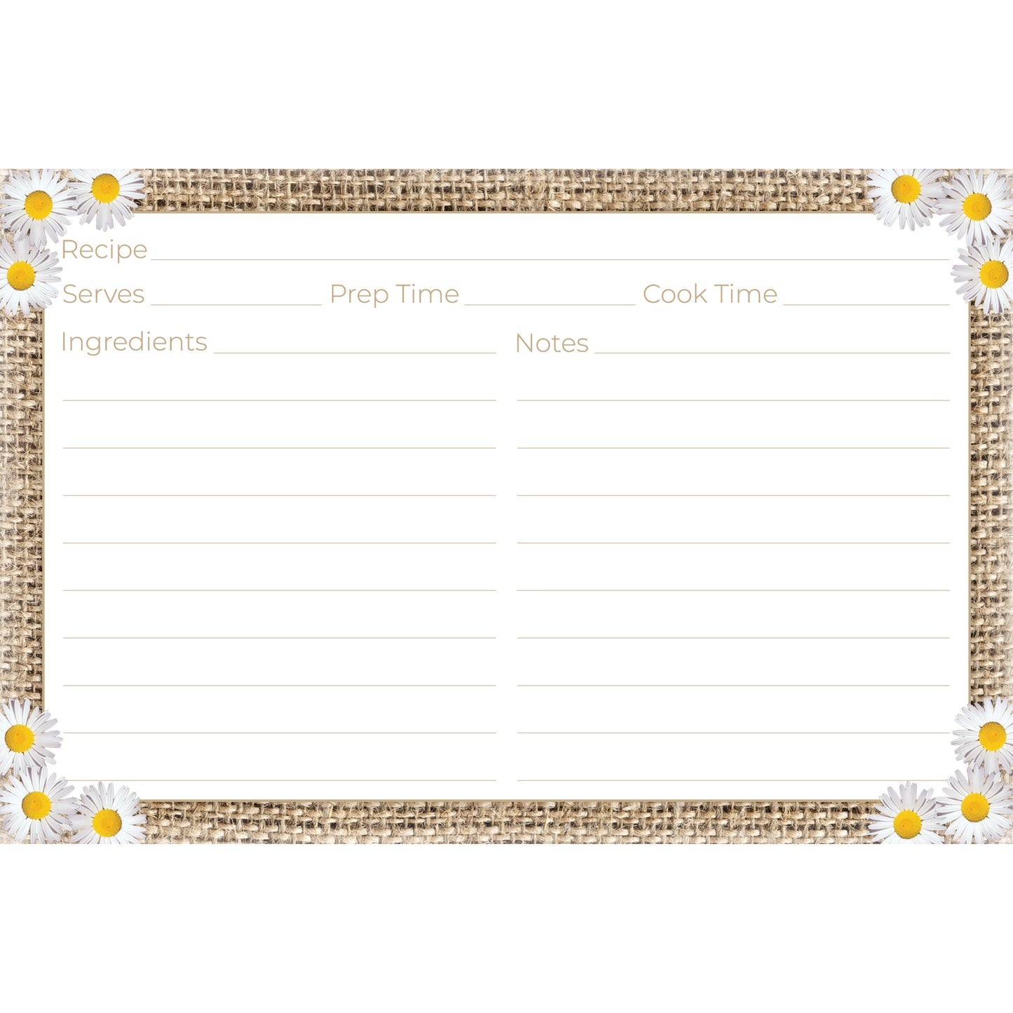 Rustic Daisy Recipe Cards (Set of 50) | 4" x 6" Double-Sided College-Ruled